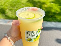 -1828王老吉·草本新茶(珠江新城地铁站店)