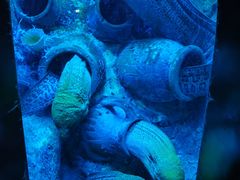 -太平洋海底世界