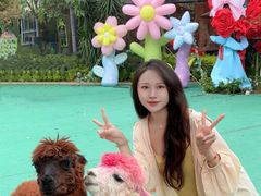 -灵玲国际马戏城