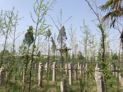 -西安关中民俗艺术博物院
