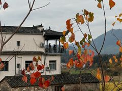 -塔川景区