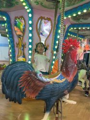 -卡通尼·Safari非洲探索乐园·生日会(金桥国际商业广场店)