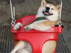 -迎燕阁烤羊腿(二环南路店)