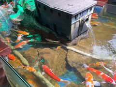 -太平洋海底世界