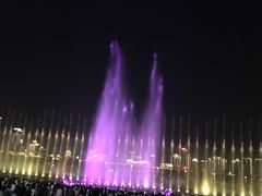 -秋水广场音乐喷泉