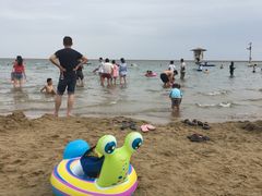 -碧海金沙