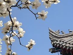 -西安市广仁寺
