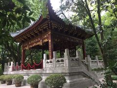 -汇龙潭
