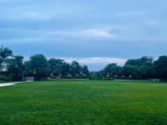 -海南清水湾莱佛士酒店