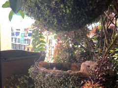 -第101座花园餐厅(湖滨88店)