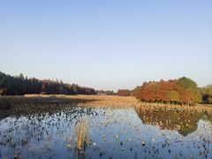 -苏州东太湖生态园