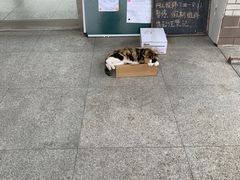 -江南大学(蠡湖校区)