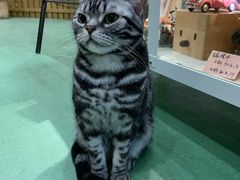 -藦茜花园宠物主题亲子互动体验馆(国顺东路店)