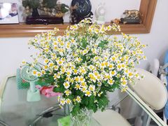 -双季花艺园艺市场(浦东店)