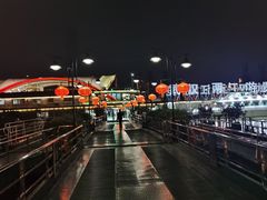 -武汉两江游览·夜游长江(汉口粤汉码头)