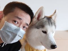 -Husky Go! 哈士奇体验馆·宠物咖啡厅狗咖