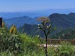 -白草畔自然风景区