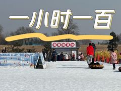 -绿野森林乐园冰雪季