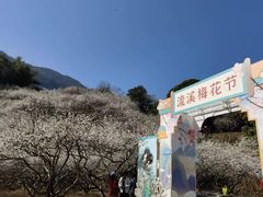 -广州市流溪河国家森林公园