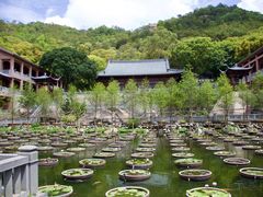 -石峰岩寺