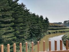 -迪茵湖田家舍生态农场