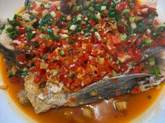 -全乐鱼馆·淳牌有机鱼直营店