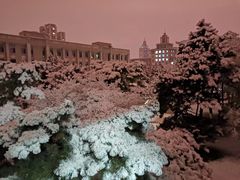 -东北大学(南湖校区)