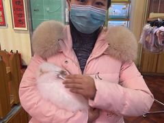-宠物兔专门店(天丰利市场店)