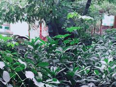 -华源足浴棋牌SPA