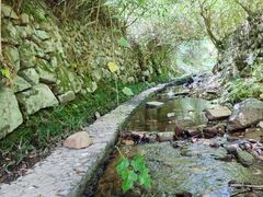 -宁波浙东大竹海景区