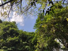-马峦山郊野公园