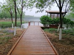 -东郊湿地公园