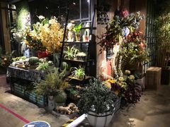 -范设计花园餐酒咖·中西餐·咖啡厅·酒馆