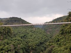 -川西竹海景区