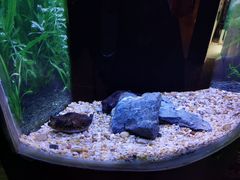 -上海海洋水族馆