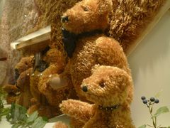 -济州岛泰迪熊博物馆