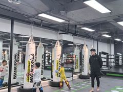-拳力汇散打搏击泰拳俱乐部(绿地缤纷城店)