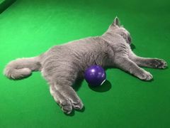 -第三空间·趣味桌游·轰趴.室内CS.剧本杀(大武汉1911店)