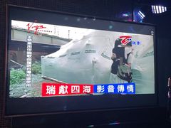 -纯K(打浦桥店)
