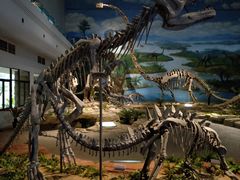 -自贡恐龙博物馆