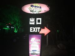 -枫花园汽车电影院(朝阳公园店)
