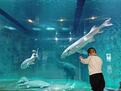 -洛阳龙门海洋馆