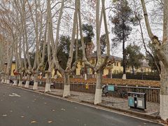 -T80科技文化国际社区-停车场