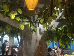 -北平盛世·新京菜·北京烤鸭(劲松·双井店)