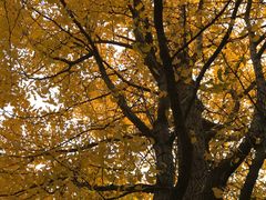 -苏州河梦清园环保主题公园