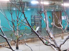 -上海大自然野生昆虫馆(东方明珠·爬宠昆虫探索中心)