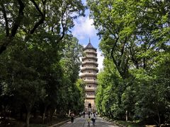 -灵谷景区