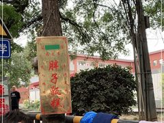 -马文章胖子甑糕(洒金桥店)