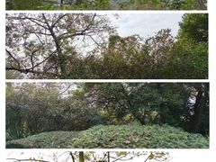 -广州市白云山风景名胜区