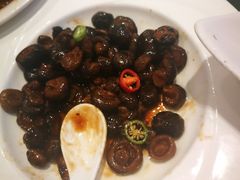 房县小花菇-亢龙太子酒轩(东湖店)